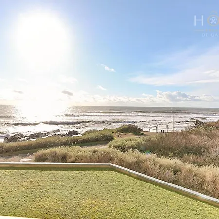 Daire L'armandeche *