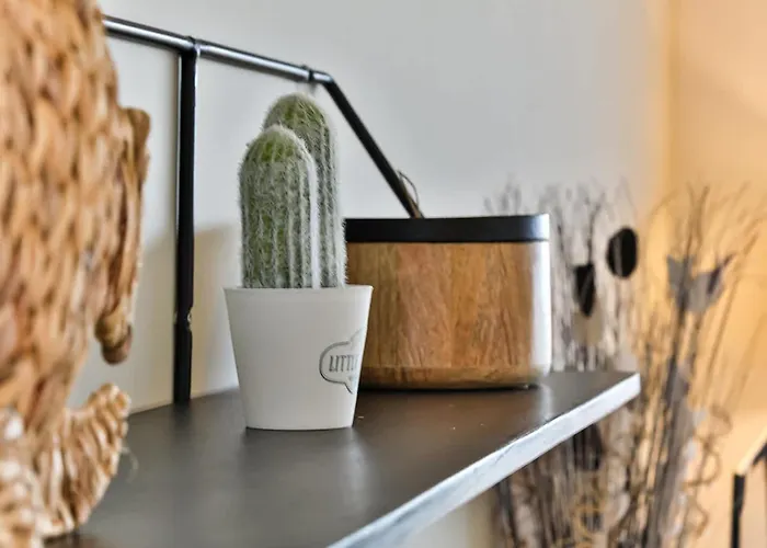 L'armandeche * La Chaume